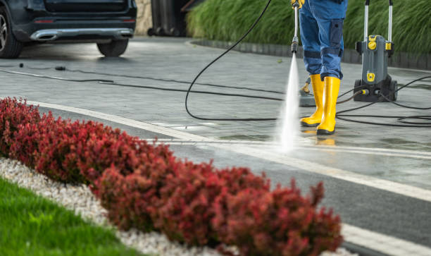 Best Roof Washing  in Bolivar, TN